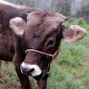 Meet your Posher, Marjorie